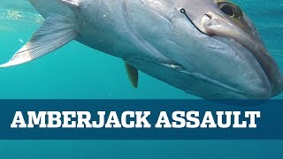 Monster Amberjack  Florida Sport Fishing TV  Tackling The Strongest Reef Fish [upl. by Aekin237]