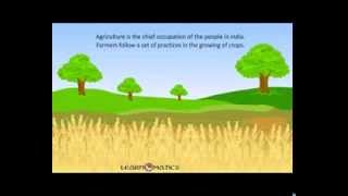 Cultivation of crops [upl. by Ocihc]