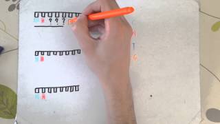 F215 OCR A2 Biology  DNA Sequencing and PCR [upl. by Zap]