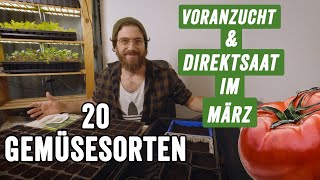 Meine 20 Gemüse Sorten für die Direktsaat und Voranzucht im März [upl. by Eob]