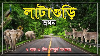 Lataguri Tour  Gorumara national park Dooars tour plan North Bengal Tour Gorumara Jungle Safari [upl. by Anestassia]