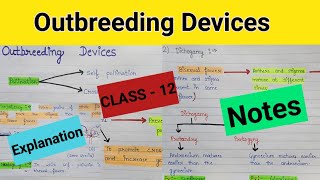 Outbreeding devices  Outbreeding devices in flowering plants  Outbreeding devices class 12 ncert [upl. by Gerianne]