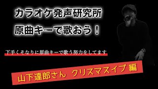 山下達郎さんのクリスマスイブを原曲キーで歌いました [upl. by Rosenfeld]