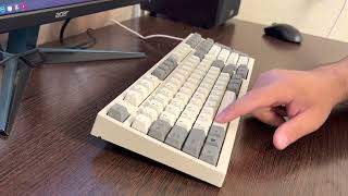 Leopold FC980C Topre 30g AECX31 typing [upl. by Sorac]