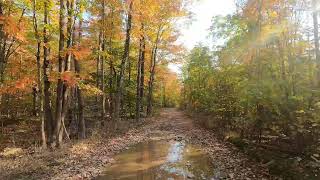 ORV Route on Drummond Island in a 2020 Jeep Gladiator Max Tow [upl. by Eniksre]