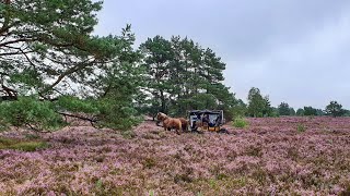 Radtour Lüneburger Heide HD [upl. by Romola700]