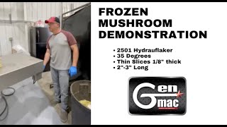 FROZEN MUSHROOM DEMONSTRATION [upl. by Marius]