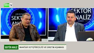 SEKTÖR ANALİZ  MANTAR YETİŞTİRİCİLİĞİ VE ÜRETİM AŞAMASI  1Bölüm [upl. by Acinnod]