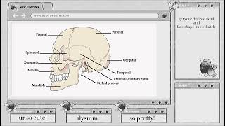 desired skull and face shape subliminal [upl. by Akenot]