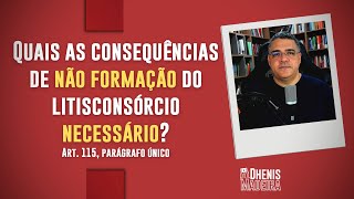 Quais as consequências de não formação do litisconsórcio necessário [upl. by Assilac]