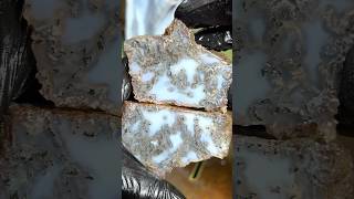 Cutting Boring Stone Reveals Moss Agate [upl. by Lasonde]