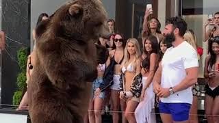 Dan Bilzerian feeds a bear [upl. by Yelsgnik]