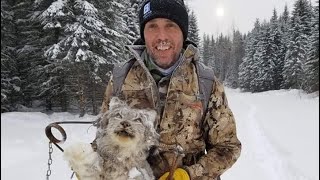 Trapping Wolves Lynx and Mink In Northern British Columbia [upl. by Adnuahsal]