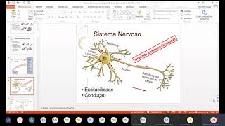 Anatomia do Sistema Nervoso Central  Encéfalo [upl. by Damarra443]