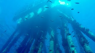 Bonaire Salt Pier 2024  Photo amp Video [upl. by Adnamma349]