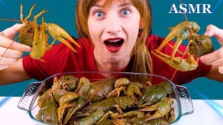 ASMR The Most Crazy Flopping CRAYFISH Eatingsound Realsound Mukbang LiLiBu ASMR [upl. by Pero]