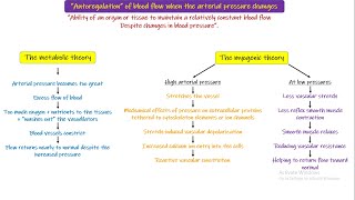 Metabolic Theory Myogenic Theory Chapter 17 part 5 Guyton and Hall Physiology [upl. by Sicard681]