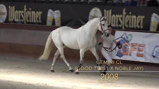 Gemini CL Gem Twist Good Twist x Noble Jay [upl. by Onahpets]