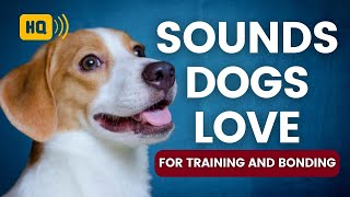 Sounds Dogs Love to Hear the Most for Training and Bonding [upl. by Ellahcim]