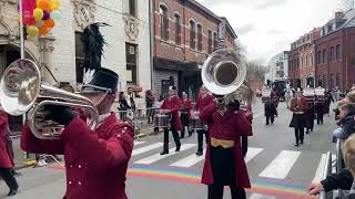 Showcorps WIK Oostende  carnaval Willebroek 2024 [upl. by Olivie396]