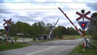 Spoorwegovergang Rønde DK  Railroad crossing  Jernbaneoverskæring [upl. by Rekab]