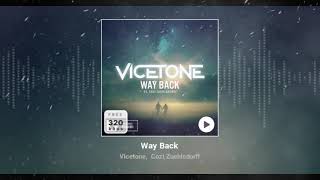 Way Back  Vicetone Cozi Zuehlsdorff [upl. by Stauffer]