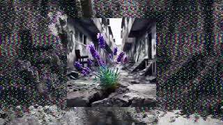 CAPITAL BRA – LAVENDEL Visualizer Prod M61 JYDN [upl. by Ennaehr]