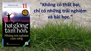 Hạt Giống Tâm Hồn Tập 11  Những Trải Nghiệm Cuộc Sống [upl. by Enelra32]