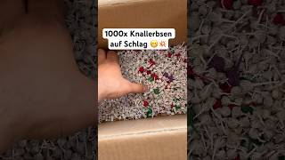 1000 Knallerbsen auf SCHLAG 😳💥 feuerwerk fireworks shorts [upl. by Enaud870]