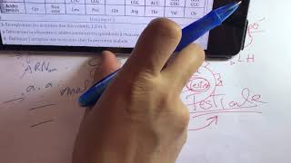 Exam génétiqueexpliquer la maladieméioseCourbe variation qté ADNformule chromosomique [upl. by London]