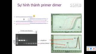 Bài 8  SYBR Green trong Realtime PCR [upl. by Mcintyre569]