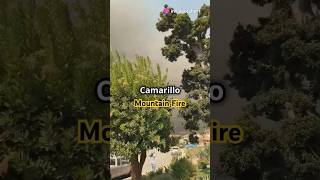 Mountain Fire Rages Through Somis and Camarillo Heights news fire [upl. by Ashford]