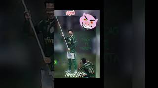 2341☠️ Se Palmeiras💚🥴 palmeiras edit [upl. by Htebizile317]