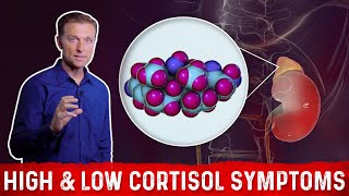 Low vs High Cortisol Levels Symptoms Explained By DrBerg [upl. by Murdocca]