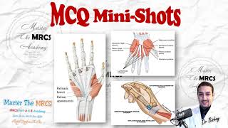 MRCS MCQ MiniShots  Hand Innervation Tricks [upl. by Pavlov]