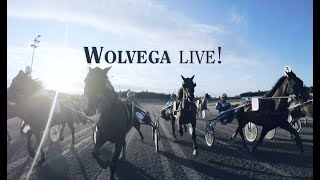 Wolvega Live  Uitzending integraal van 15112024 [upl. by Gaves965]