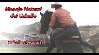 Caballo elevada [upl. by Ydwor]