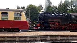 🚉🚉 Dieselpower auf der Selketalbahn 01082024 🚉🚉 [upl. by Assyral]