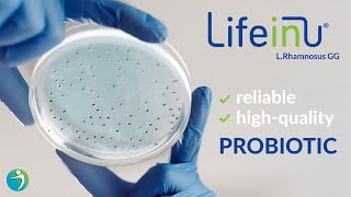 LifeinU® L rhamnosus GG The New Choice of Reliable HighQuality Probiotic [upl. by Fennessy]