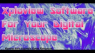 Xploview Software for your Digital Microscope [upl. by Heber]