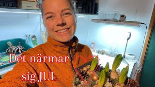 🌸🤶🏻❄️ Klipper palettblad gör julgrupper och njuter av snön [upl. by Justen787]