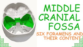 ANATOMY OF MIDDLE CRANIAL FOSSA ALL FORAMEN WITH CONTENTS [upl. by Amaerd]