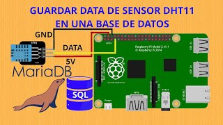 Raspberry Pi Guardar data de sensor DHT11 en una base de datos [upl. by Yrojram669]