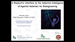 A Bioelectric Interface to the Collective Intelligence of Agential Materials for Bioengineering [upl. by Moyers]