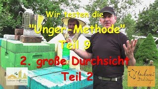 Wir testen die quotUngerMethodequot Teil 9  2 Große Durchsicht Teil 2 1252017 [upl. by Callie]