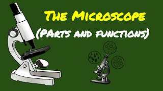 SCIENCE 7 PARTS OF THE MICROSCOPE AND THEIR FUNCTIONS [upl. by Eselahc]