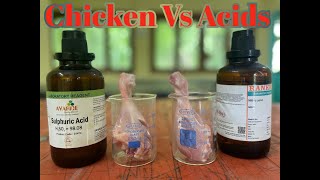 Vaporizing chicken in acid  Nitric Acid Sulfuric Acid VS Chicken Leg Piece Whats the Difference [upl. by Klingel]