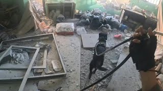 Exclusive  Israeli Army Reveals Oketz Explosive Detection Dog Unit in Gaza Strip Operations [upl. by Nediarb]