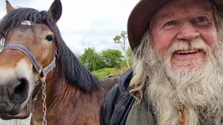 Milltown Horse Fair Kerry 28 April 2024 [upl. by Milena]