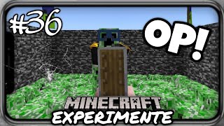 Das Bedrock Schild ist OP🤯  Minecraft EXPERIMENTE 36 [upl. by Rebmit573]